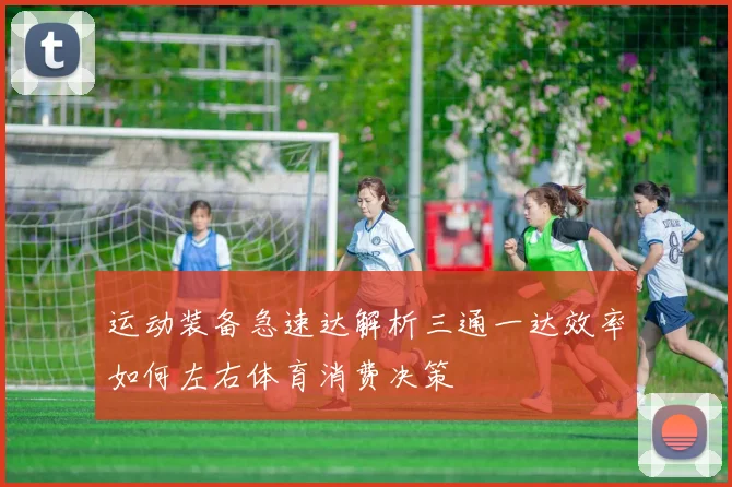 运动装备急速达解析三通一达效率如何左右体育消费决策